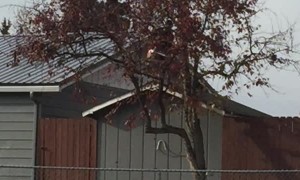 Man Gives Mother Nature a Helping Hand