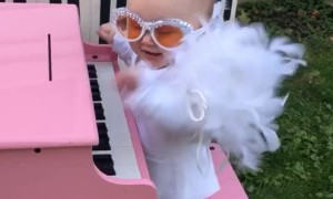 Little Miss Elton Steals the Halloween Show