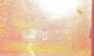 Power Surges into Storm Damaged Tree