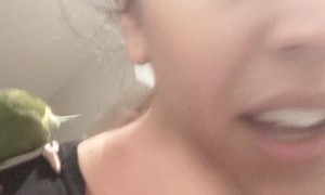 Petty Parakeet May be Jealous of Jewlery