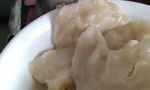 Hamster Happily Munches on Dumpling