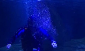 Man in Aquarium Blows Heart-Shaped Rings for Love