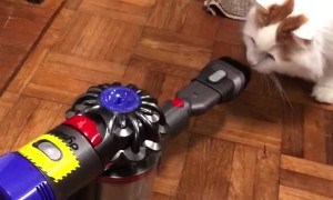 Vacuum Gets a Good Thrashing