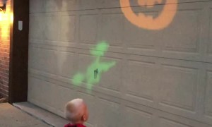 Roar Powered Halloween Projection