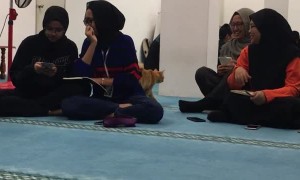 There's More Than One Way to Scratch a Cat