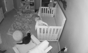 Kitty and Kid Have a Conversation