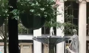 Chicago Woman Washes Her Hair