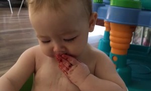 Berries are too Tart for Baby