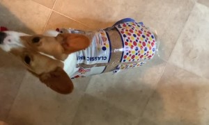 Sliced Bread Sweetie