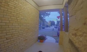 Polite Dinosaurs Only Take One Piece of Candy