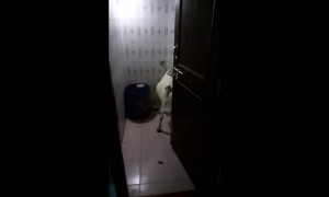 Goat Goes for Some Privacy