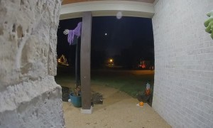 Trick or Treaters Take the Whole Bowl