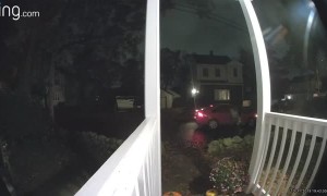 Halloween Basket Goes Bye-Bye