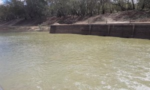Darling River Flows over Bourke Weir