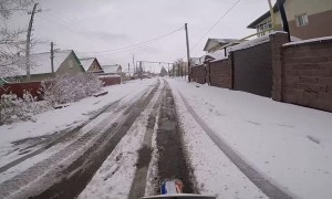 Rider Rescues Precious Puppy in Russia