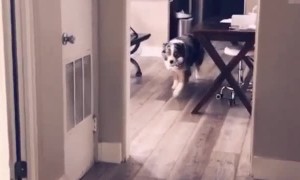 The Solution for Shower Time Thirst