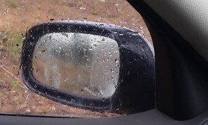 Blue Wren Dislikes His Own Reflection