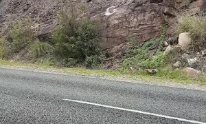 Police Officer Hides in Bushes in the Name of Road Safety