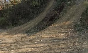 Rail Buggy Turns It Around in Surprise Save