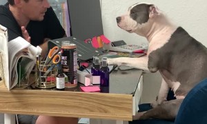 Morning Meeting with Dog Treat Tester