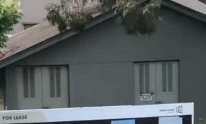 Guy Flexing In Mirror