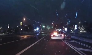 Police chase runaway dog sled team through town