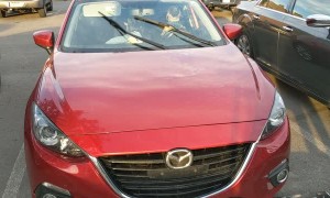 Impatient Pups are Ready to Get Going