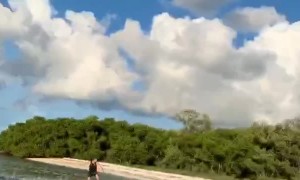 Full Speed into the Trees