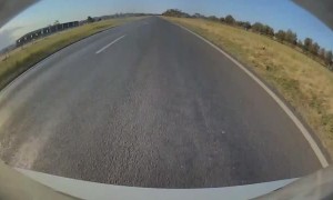 Tesla Autopilot Detects Ducks Crossing the Highway