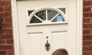 Spooky Puppet Scares Kiddos