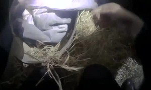 Body Cam Captures Police Rescuing People From A House Fire