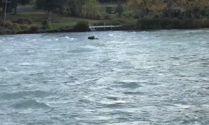 Bull Moose Floats Down Kenai River after Momma and Calf