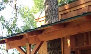 Good Boy Gilbert Sings Along to Tune