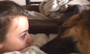 German Shepherd whines town owner about her 