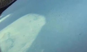 Ingenious Ice Defrosting Life Hack