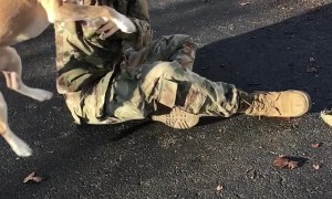 Dog Has an Adorable Delayed Reaction