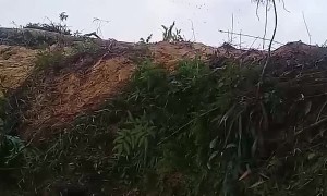 Excavator Digs up Anaconda
