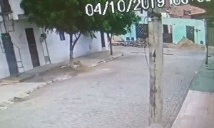 Husband Tries to Hide in Trees