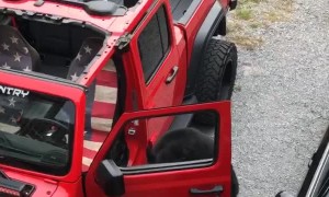 Bears Are Curious About Brand New Ride