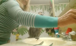 Macaque Gets Made Up