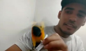 No Smoking Near This Bird