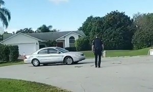 Florida dog puts car in reverse and drives in circles for an hour