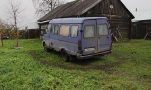 How to Clone Your Doggo