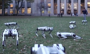 Researchers test 9 new 