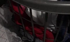 Happy Tail Gives Away Hiding Place