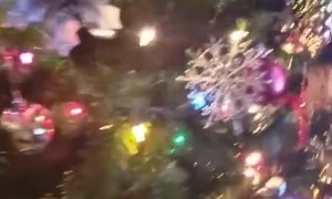 Kitty Christmas Decoration