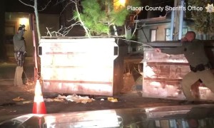 Bear gets help after getting stuck in dumpster