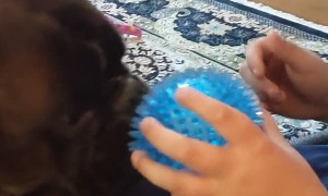 Adorable Dog's Tongue Does Funny Trick