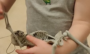 Forgot to Feed the Elf on the Shelf