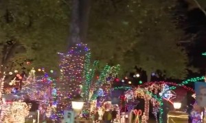 Beautiful Winter Wonderland in Texas